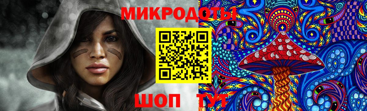 Галлюциногенные грибы Psilocybine cubensis Богородицк